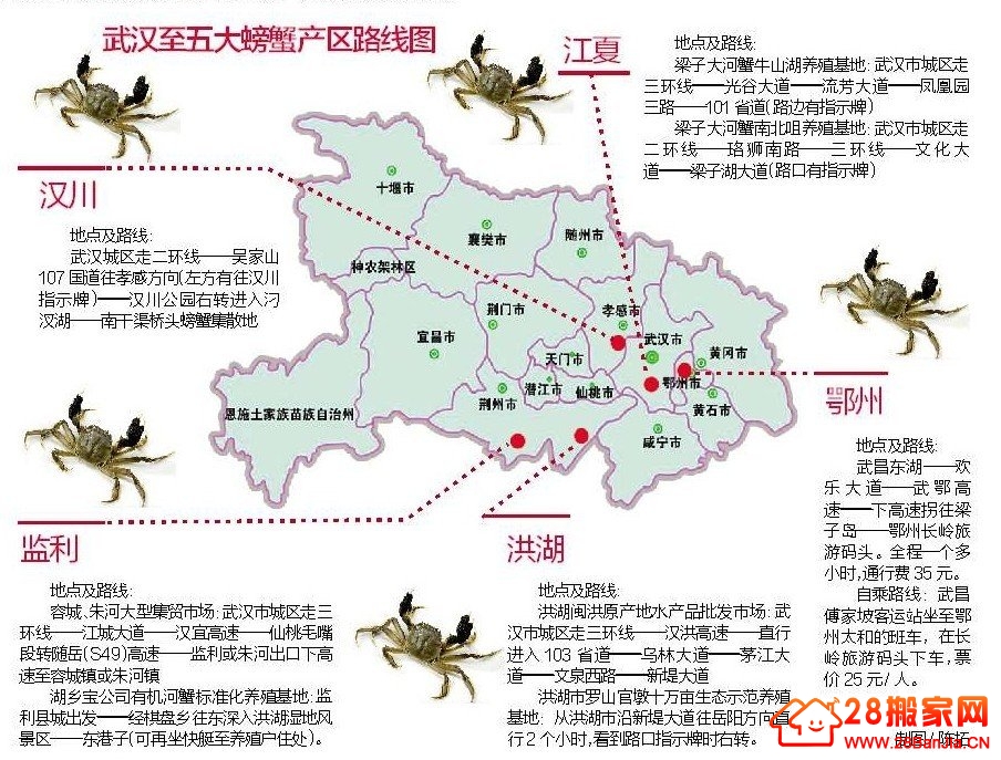 武汉“吃蟹地图”出炉 今年螃蟹价格上涨30%_搬家新闻_武汉28搬家