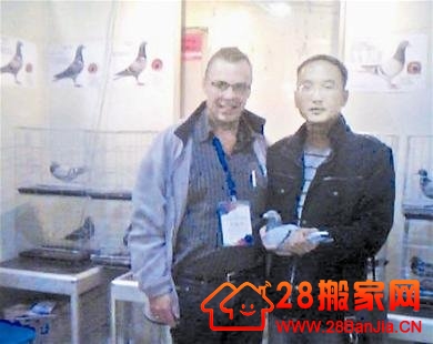 武汉大三男生卖信鸽 2年赚40万最贵一只10万_搬家新闻_武汉28搬家