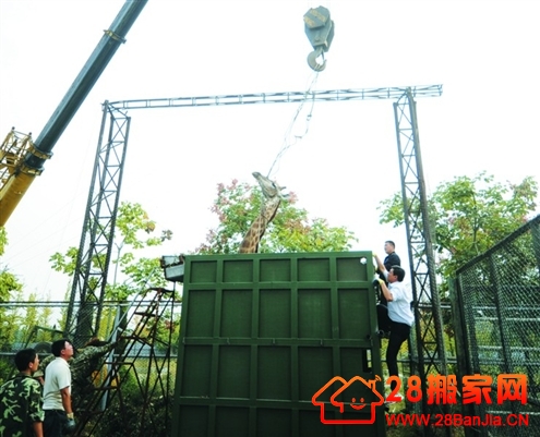 “个子大了”搬家好苦恼_搬家新闻_武汉28搬家网