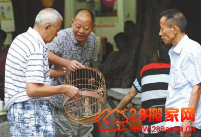 成都曹家巷居民搬家处理老物件引众商贩前往“淘宝”_搬家新闻_武